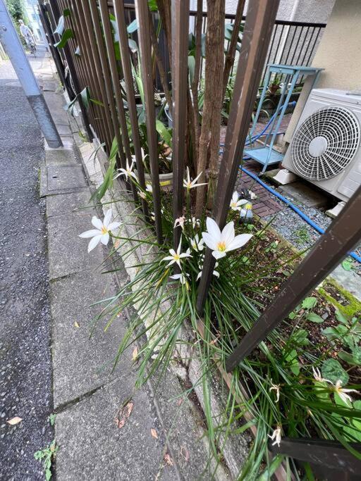 東京芳华驿站 Apartment Tokyo Exterior photo